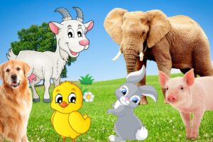 Cute little animals - Elephant, dog, duck, goat, rabbit - Animal moments