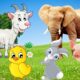 Cute little animals - Elephant, dog, duck, goat, rabbit - Animal moments