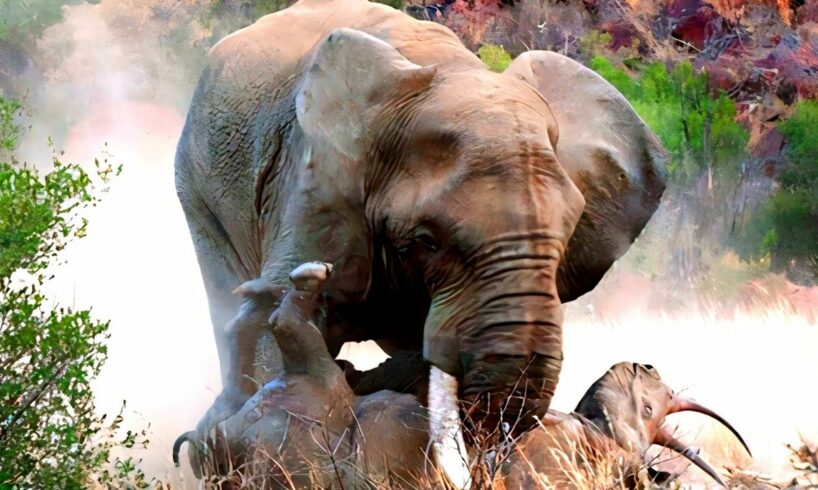ELEPHANT Vs RHINO | Animal Fight | Discovery Channel In Hindi | Elephant Attack Rhino | Wild Animals