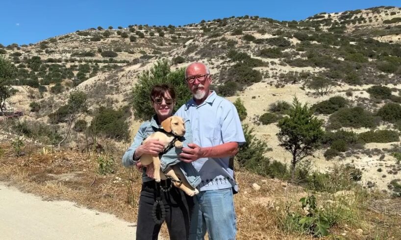 Ellie is Adopted! - Takis Shelter