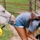 FUNNIEST Farm Animals! 😂 | Best Videos for families