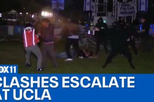 Firecrackers thrown at UCLA encampment; Fights breaking out in Westwood