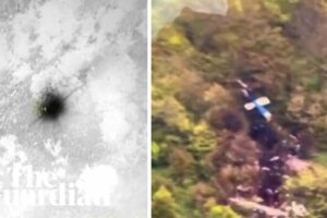 Footage shows aftermath of helicopter crash that killed Iranian president