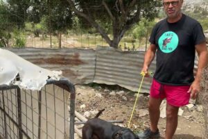 Freedom after 4 years in a dirty cage for a beautiful dog - Takis Shelter