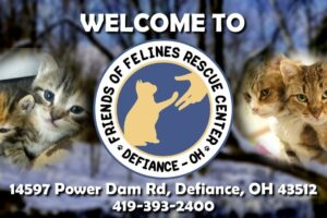 Friends of Felines’ Rescue Center