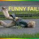 Funny Fails Of The Week 2024 | Try Not To Laugh | Fail Army !