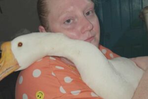 Iowa Woman Fights to Keep Emotional Support Goose