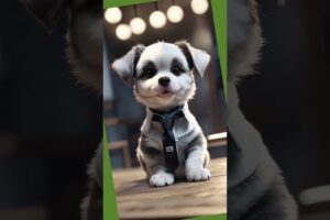 Life with the Cutest Puppies Ever!#4kviral #puppy #pets #doglover #cute #petlove #cutedog #cutepuppy