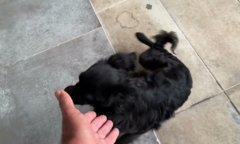 Look who is happier now! - Takis Shelter