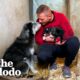 Mama Dog Runs To Rescuer To Ask Him To Help Her Puppies | The Dodo