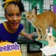 Meekah Visits an Animal Shelter | Educational Videos for Kids | Blippi and Meekah Kids TV