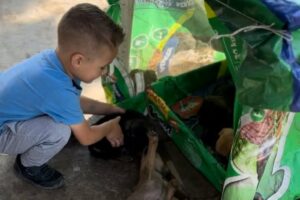 Our Life Living in Mexico - Puppy Rescue & Volunteering at the Animal Rescue