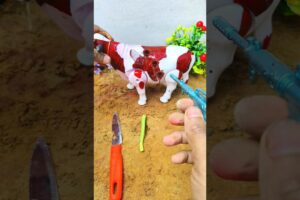 POTONG SAPI 🐄😭#shorts#trending  #youtubeshorts #animals #sapi #cow