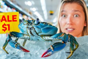 Raising a Grocery Store Crab as a Pet