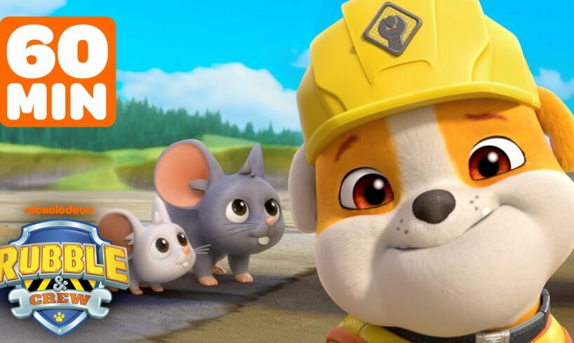 Rubble's Silliest Animal Rescues in Builder Cove! | 1 Hour Compilation | Rubble & Crew
