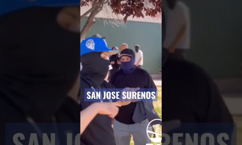 SAN JOSE SURENO TAKEOVER #sanjose #surenos #bayrecon #leftygunplay #chitoranas