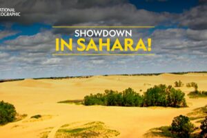 Showdown in Sahara! | Animal Fight Night | Full Episode | S3 - E1 | Nat Geo Wild