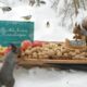 The Traveling Bird Feeder - Relax With Squirrels & Birds ( 1 Hour )
