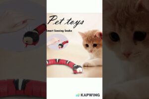 The cutest pets toy in 2024! Get it now.
