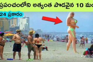 Top 10 Tallest people in the world | Talented people | telugu facts | facts in telugu | bmc facts