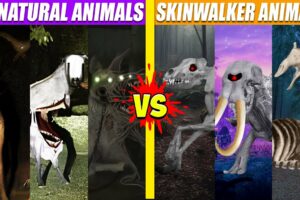 Unnatural Habitat vs Skinwalker Animals Fights | SPORE