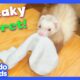 Where Is This Ferret Hiding Our Socks?? | Dodo Kids | Mystery Animals