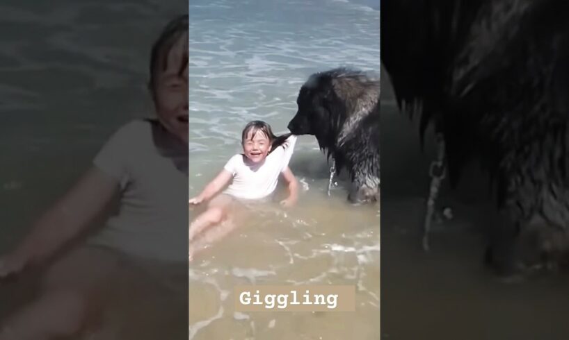 AMAZING Dog Rescues Little Girl From Ocean! #dog #beach #rescue #attack #viral #trending