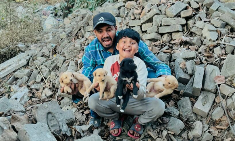 Bhotiya Jungle se Itny sary Cute puppies ko rescued kr leya 😱 ||