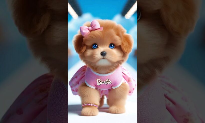 CUTE PUPPIES 🐶 WITH CUTE DRESS #SHORTS