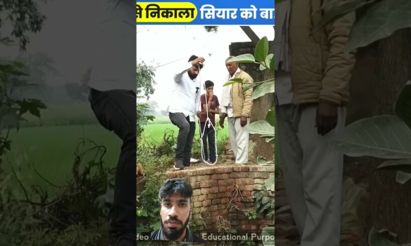 Dangerous Animal Rescue: 70 फीट गहरे कुएं से बचाव! 😱 | #shorts