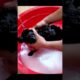 Dog Saved From Dirty Water to Loving Home #shorts #viral #pets