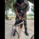 Dog play with soldier #animals