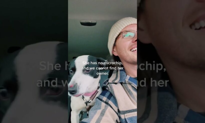 Guy Rescues Dog Running on Street While it Snowed