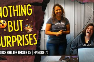 Horse Shelter Heroes S5E20  - Nothing But Surprises
