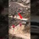 Incredible Near-Death Experiences! 😱