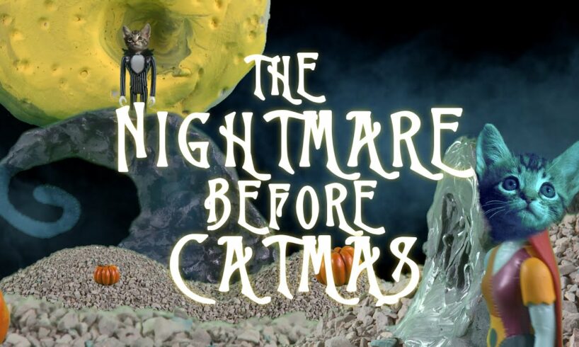 NIGHTMARE BEFORE CHRISTMAS (Cute Kitten Version)