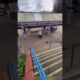 Natural Selection in Action: Dumbest Fails Ever #youtubeshorts #shortsfeed  #epicfails #funny #memes