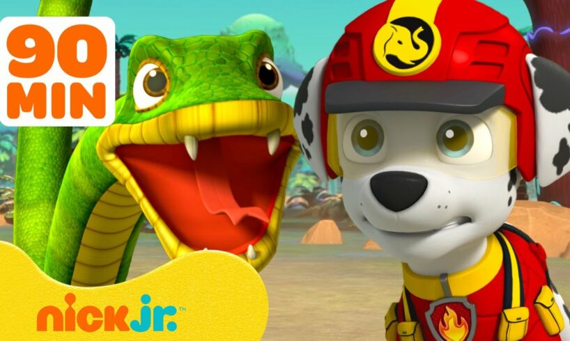 PAW Patrol Jungle Pups Find a Hidden Jungle! 🐍 w/ Marshall & Rubble | 90 Minutes | Nick Jr.