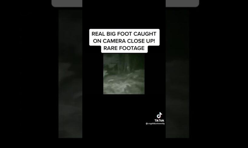 Real Bigfoot caught on camera close up rare footage
