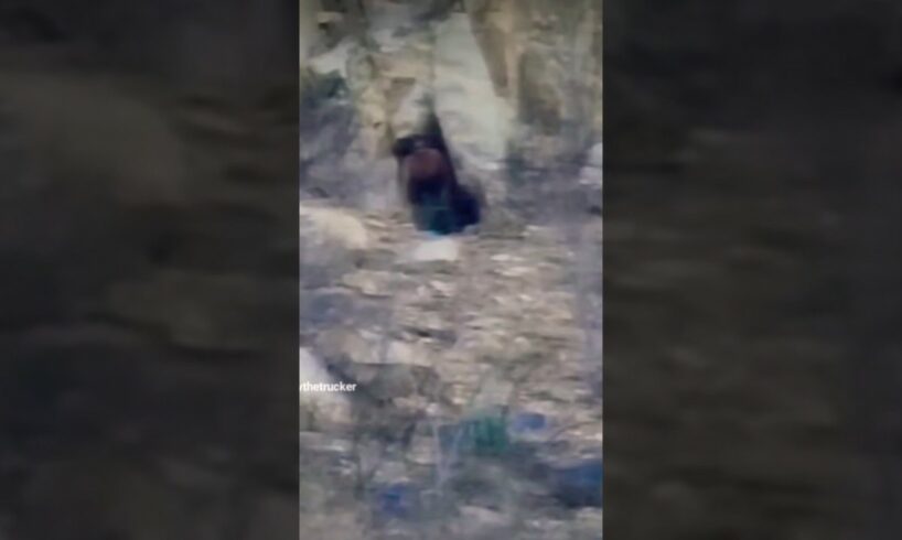 Real giant caught on camera in a cave in Mexico | DARKIVAVERSE