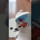 White cute puppies playing
