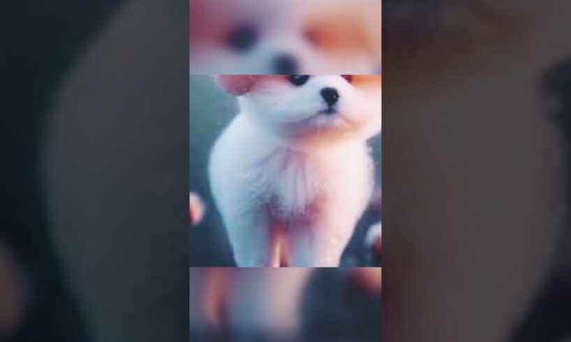so cute puppies like please and subscribe