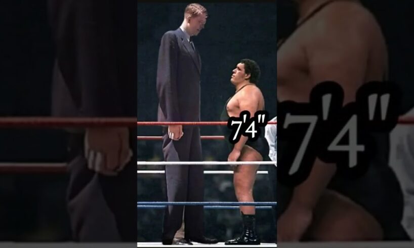 ANDRE THE GIANT AND ROBERT WADLOW FACE TO FACE #shorts