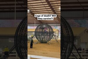 Cage of death motorcycle near death experience