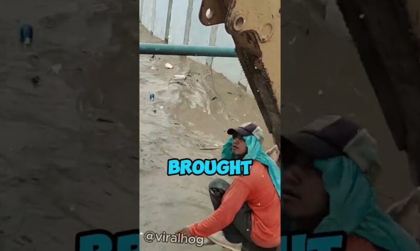 Construction Crew Rescues Dog #animals #animalrescue #shorts
