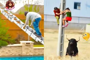 Funny 2024 | Total Idiots At Work | Fails Of The Week #15