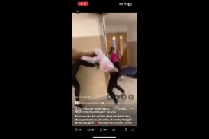 Girl hood fights