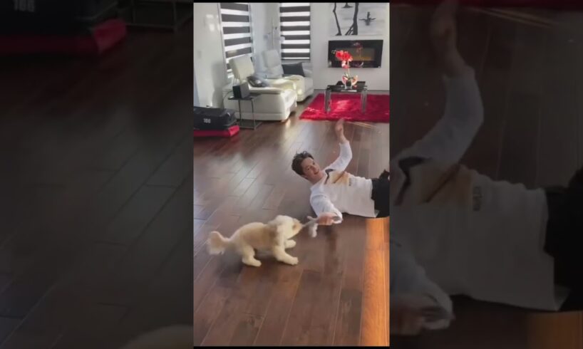 Mommy this is my best friend. #funny #dog #animals #shorts #subscribe #funnyanimals #funnyshorts #fy