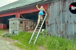 TOTAL IDIOTS AT WORK #227 | Funny Fails Of Week | Instant Regret Compilation 2024