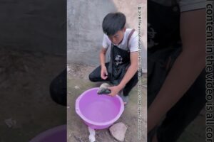 The Kind Emergency Rescue Dog Doesn't Let His Owner Kill The Fish#Shorts